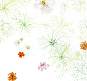 watercolour of a carpet of wildflowers