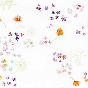 Lydia's Snapdragons & California Poppies
