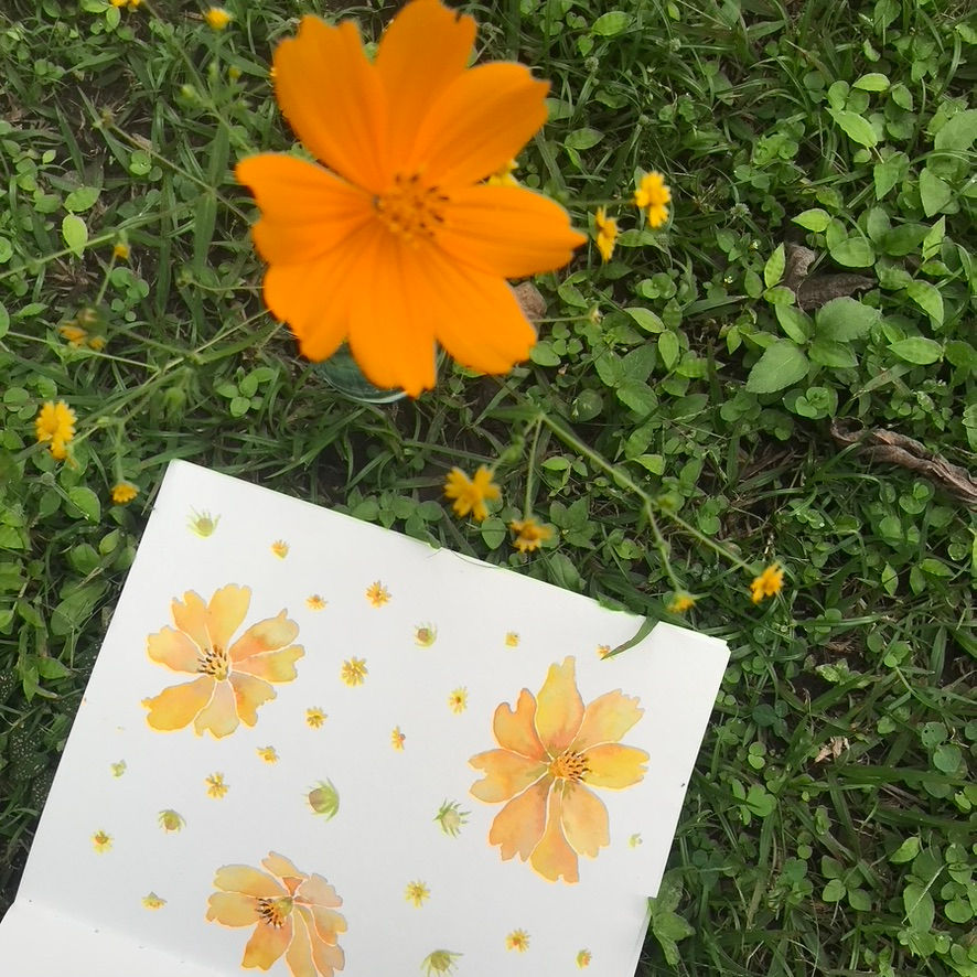 Thumbnail: Casita Cosmos - ORIGINAL