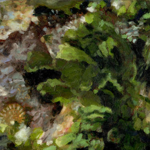 Oil Paintings