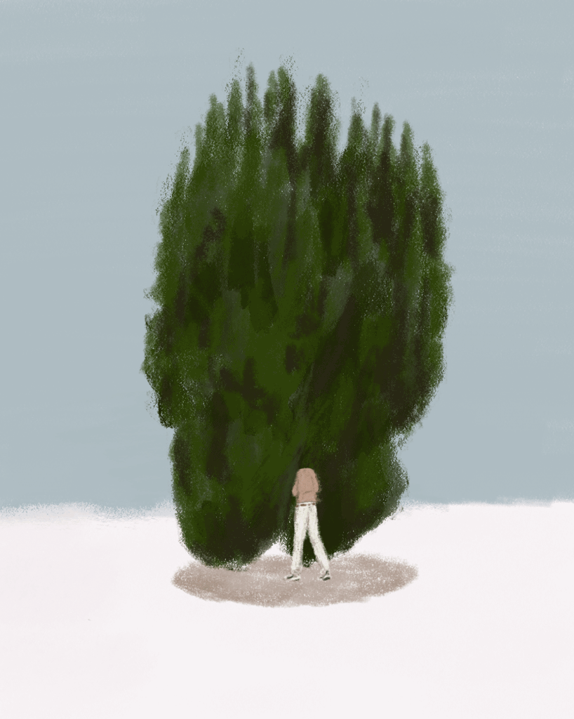 IMG_3420.GIF