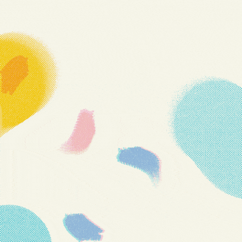 IMG_2743.gif