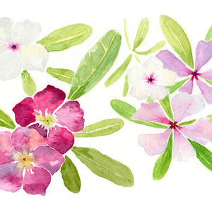 petalos de Don Juan - small.jpg