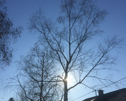 21.6.2022- sv. Alojzij Gonzaga – Živeti v sedanjosti