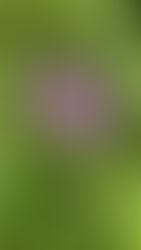 3.3.2022 - Pogoji hoje za Njim