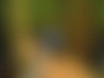 20.7.2021 - Zmaga vere