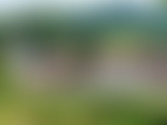 1.6.2024 – Oholitis