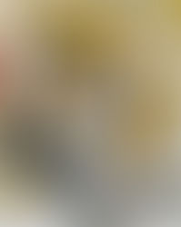 23.7.2021 - Sv. Brigita - sozavetnica Evrope