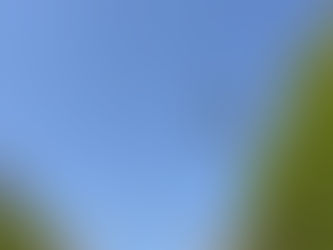 13.11.2021 – Vztrajnost