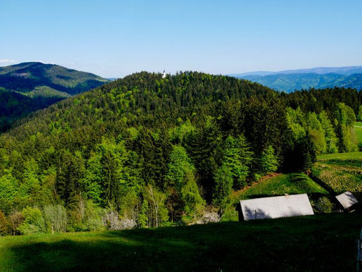 11.4.2024 – Pomen ljubezni