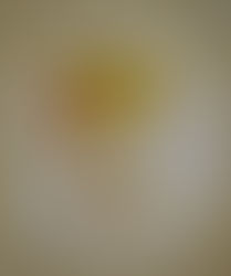 13.12.2021 – Toliko, kolikor pomaga k cilju