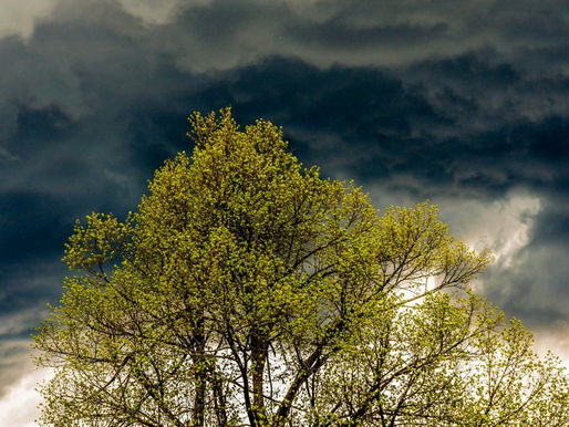 20.3.2024- Resnica vas bo osvobodila