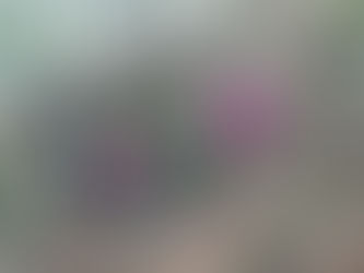 7.7.2021 - Ozdravljajte