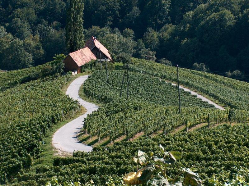4.10.2026 - 27. nedelja - Viničarji