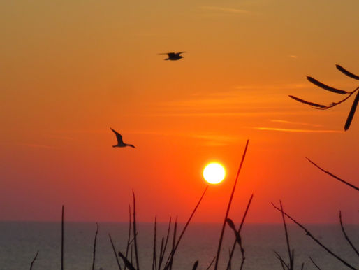 20.3.2022 – 3. postna nedelja (C) – Čas Božje potrpežljivosti