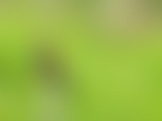 30.4.2022 – Jaz sem, nas izgovarja in diha