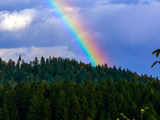 15.2.2025 - Odgovornost