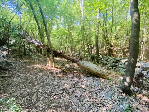 19.6.2024 - Na skrivnem