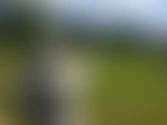 13.6.2022 - sv. Anton Padovanski – Podarjanje zmaga