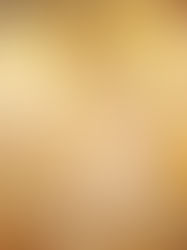 13.11.2022 – 33. nedelja med letom – Potrpežljivost