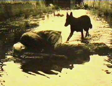 21.1.2023 – sv. Neža – Nor je