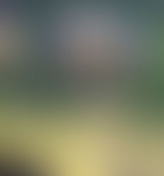 12.8.2025 - Skrb