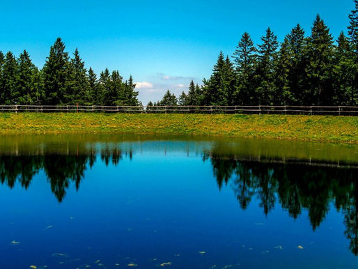 24.7.2024 - Poslušanje