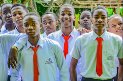 Screenshot 2024-04-14 124607