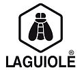 laguiole france