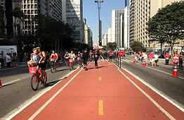 Mobilização Paulista Aberta
