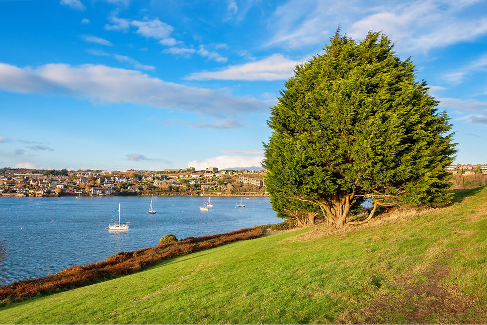 Kinsale town and harbour