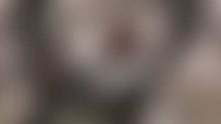 Информационное общество - 10 упущенных лет. Образование.