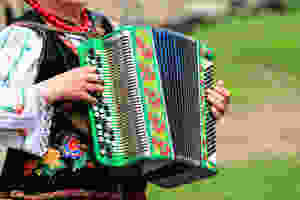 Village of Petrykivka, petrykikva painting musical instrument