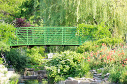 Summer Bridge | Fine Art Photography