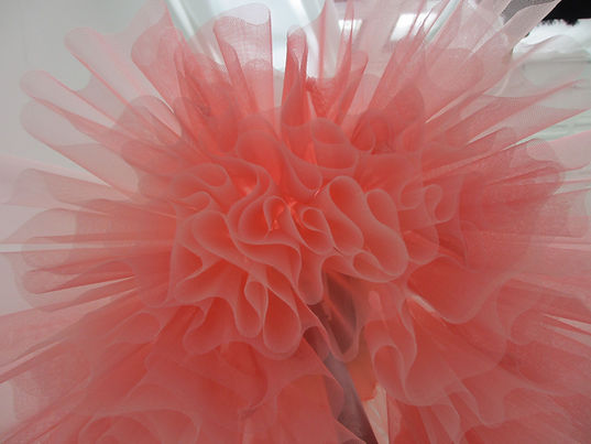new website pic tulle 1.jpeg
