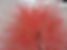 new website pic tulle 1.jpeg