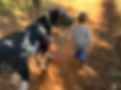 d0b702e8-fe95-495b-8f06-62404d9aeecf.jpeg