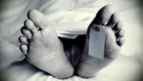 Affordable Options for Dead Body Freezer Box on Rent in Delhi: What to Look For
