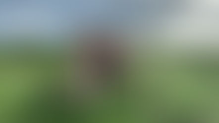 We were in Amboseli looking for the tusker 'Tim', when we found this big guy - 'Jim'.  