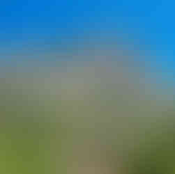 Randonnée la Sainte Victoire