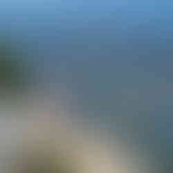 Randonnée la Sainte Victoire (point de vue magnifique)