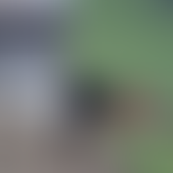 Un alpage Ă Saint-Gervais-les-bains