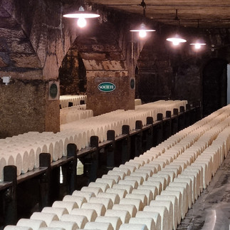 Des milliers de "petits pains" entrain d'affiner.