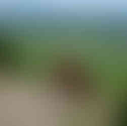 Randonnée des échelles (Roquefort)