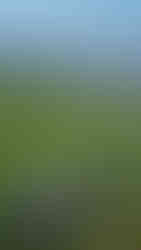 Paysages désertiques et magnifiques des Cévennes