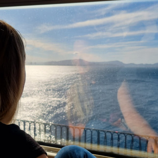 La vue du TER, les calanques, la méditerranée, le sud...