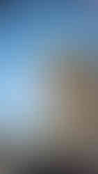 Observation des vautours dans les jumelles