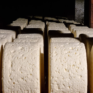 Le roquefort vu de prĂšs