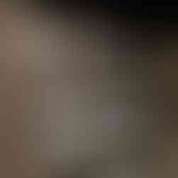 Les dimensions des caves de Société Roquefort