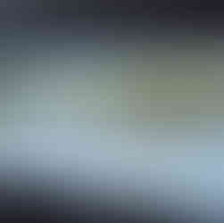 Observer les flamants roses en toute discrétion.